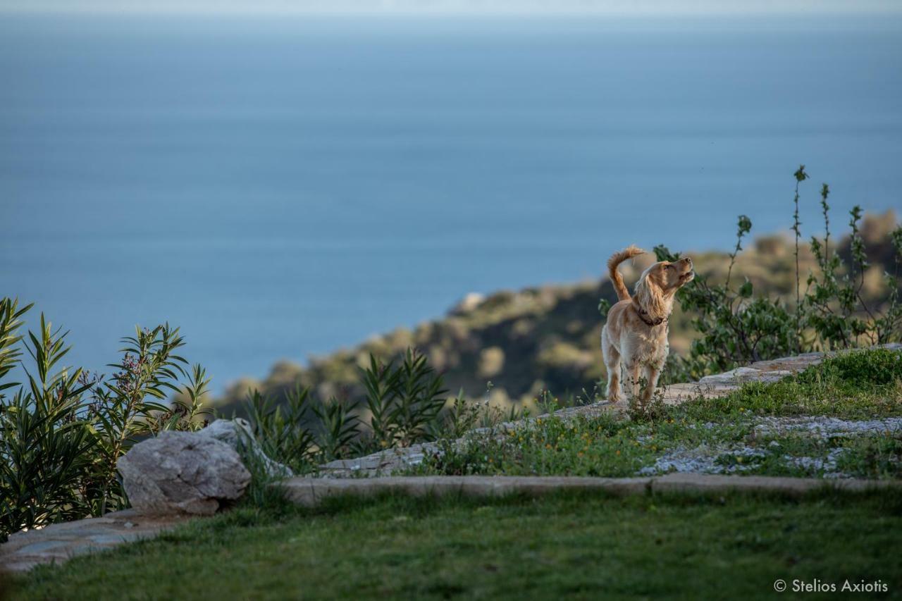 Aegean Panorama Apartments Akhladheri Bagian luar foto